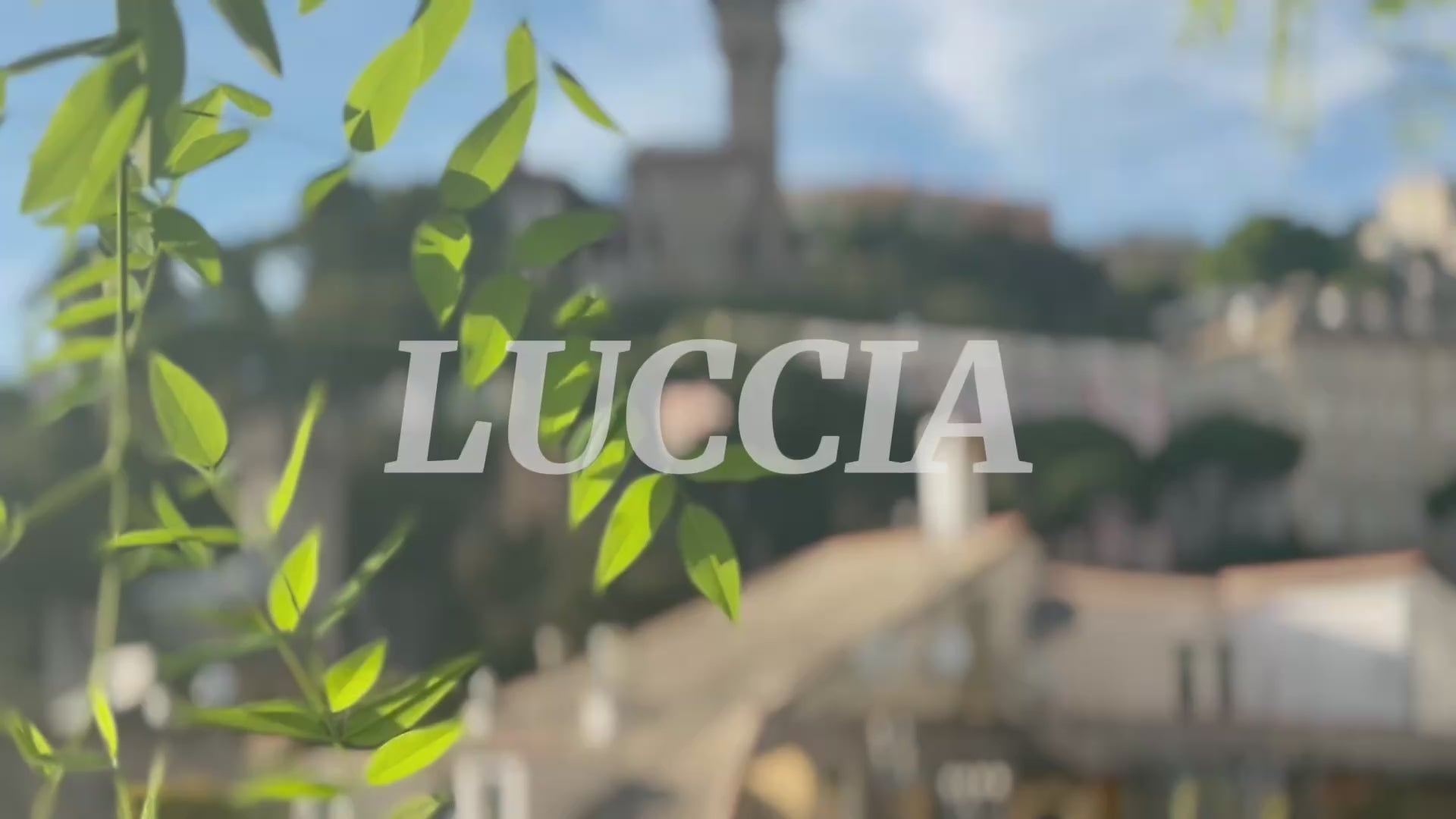 Video laden: 